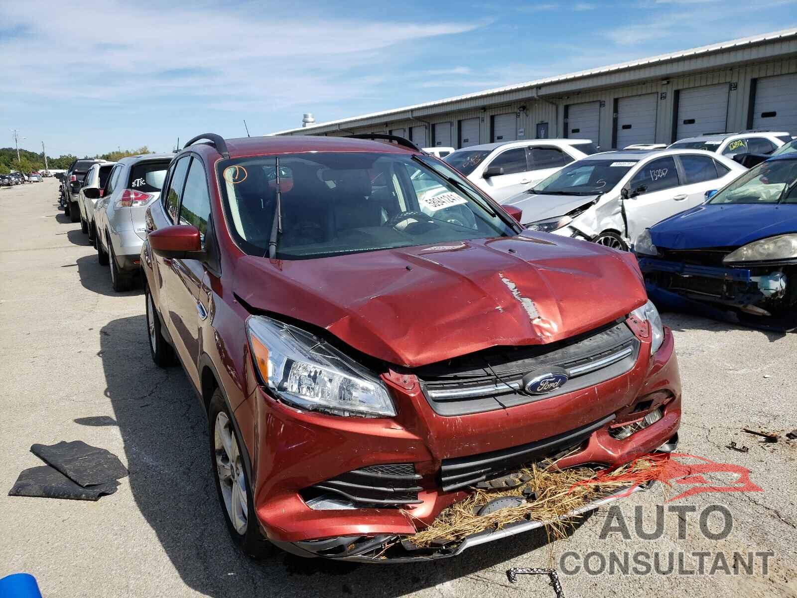 FORD ESCAPE 2016 - 1FMCU0GXXGUB95754