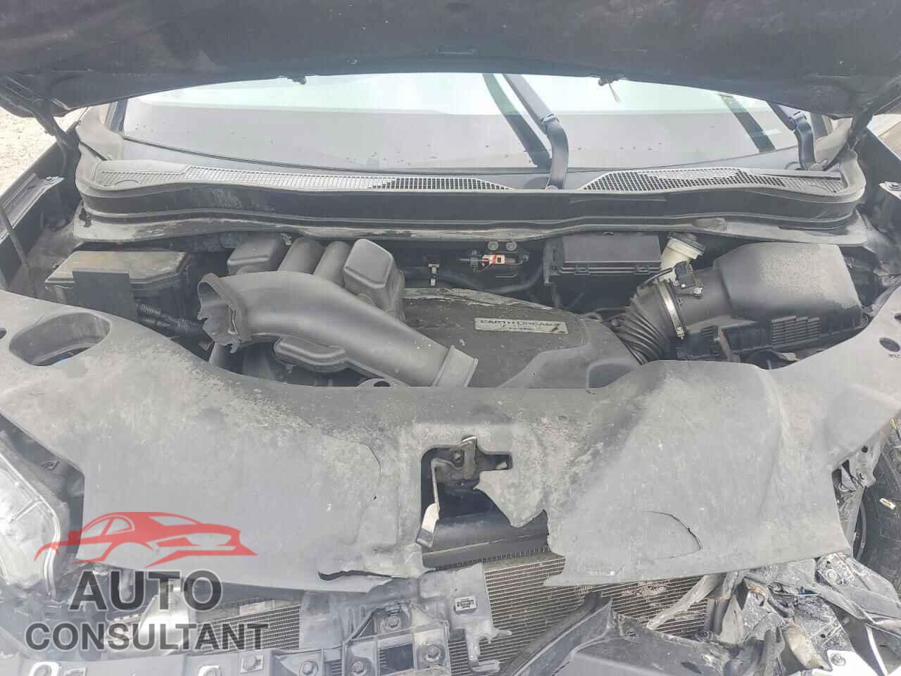 HONDA PILOT 2019 - 5FNYF6H5XKB063972