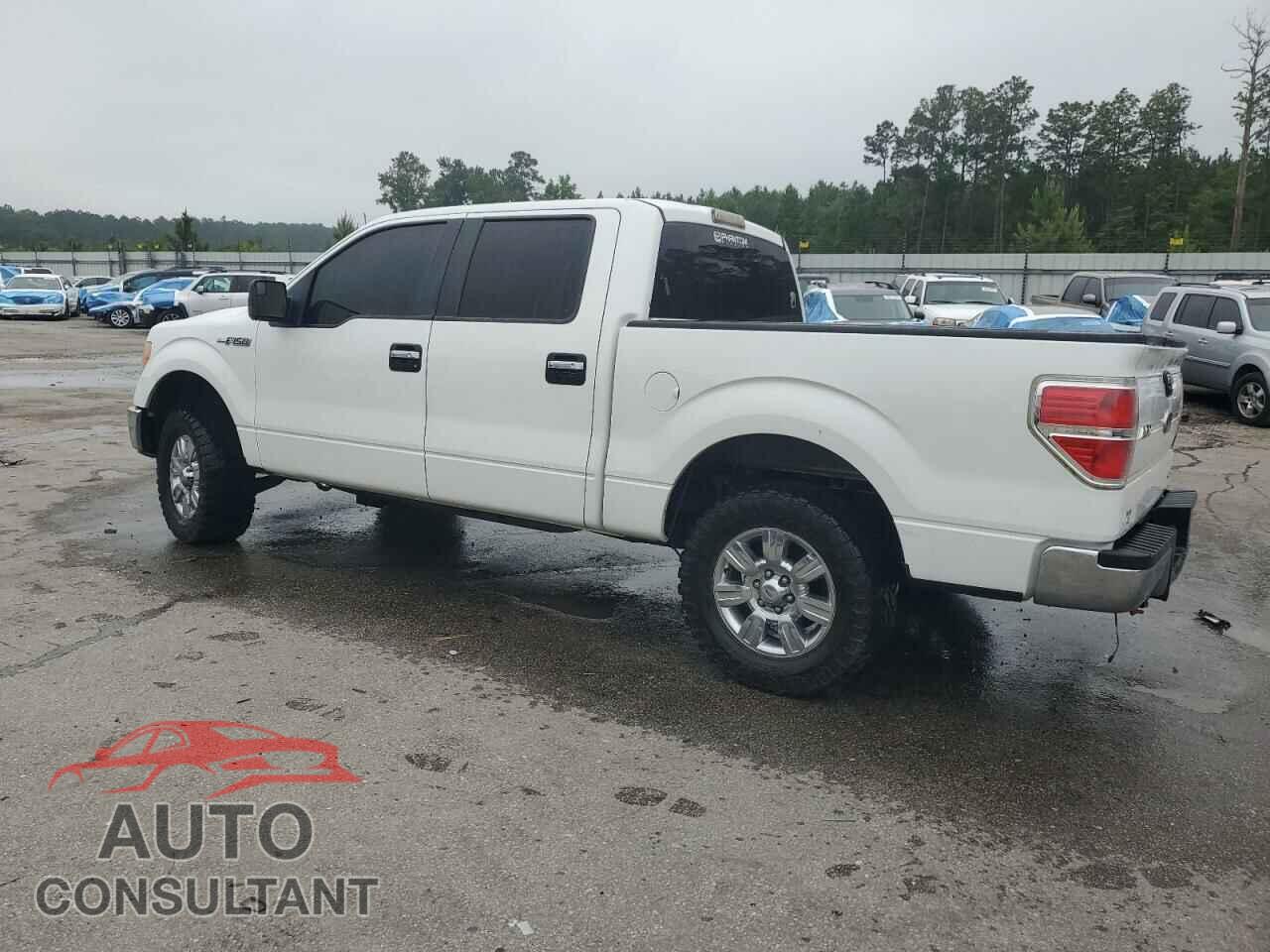 FORD F-150 2011 - 1FTFW1CF5BFD20767
