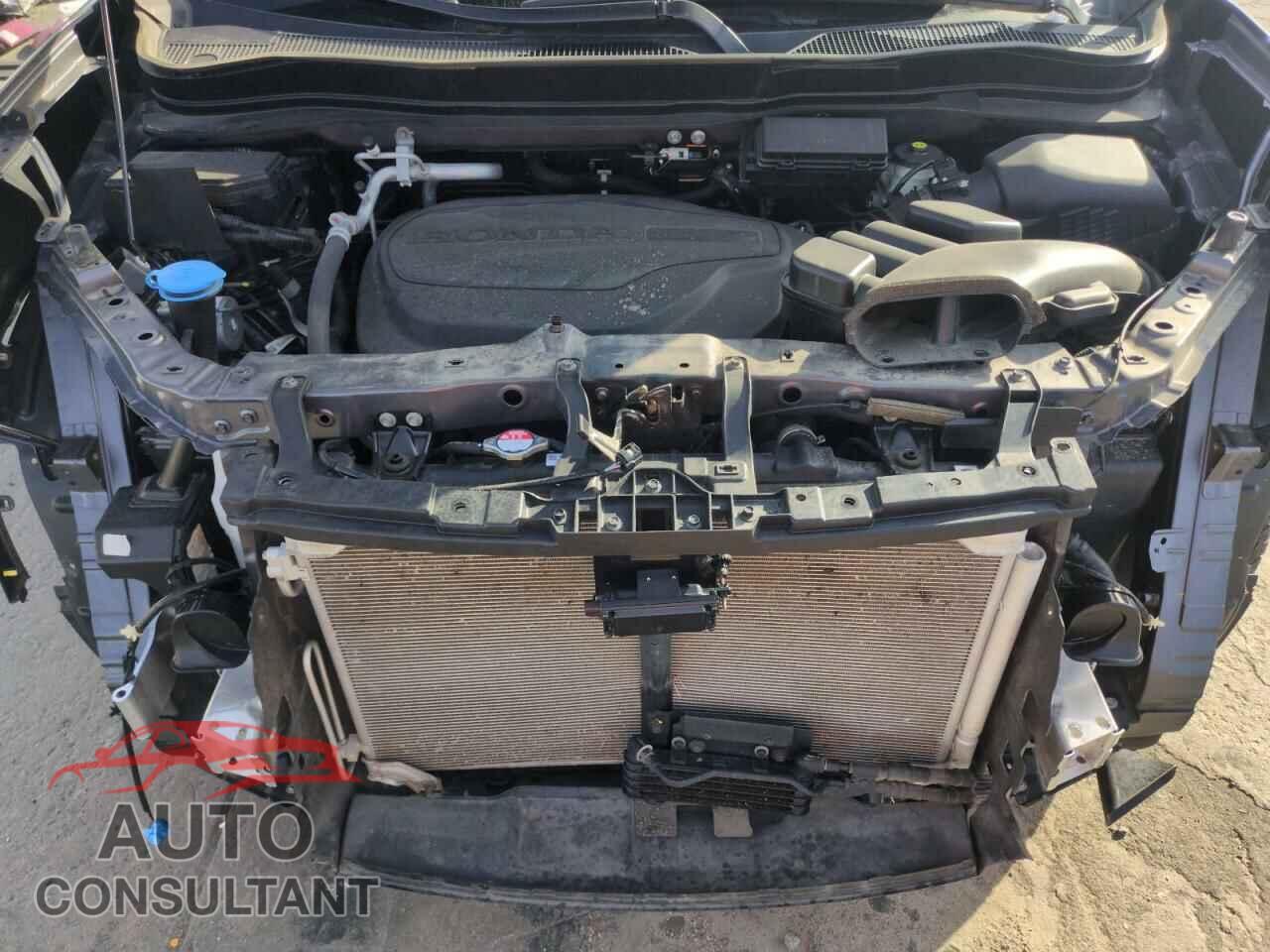 HONDA RIDGELINE 2021 - 5FPYK3F57MB013151