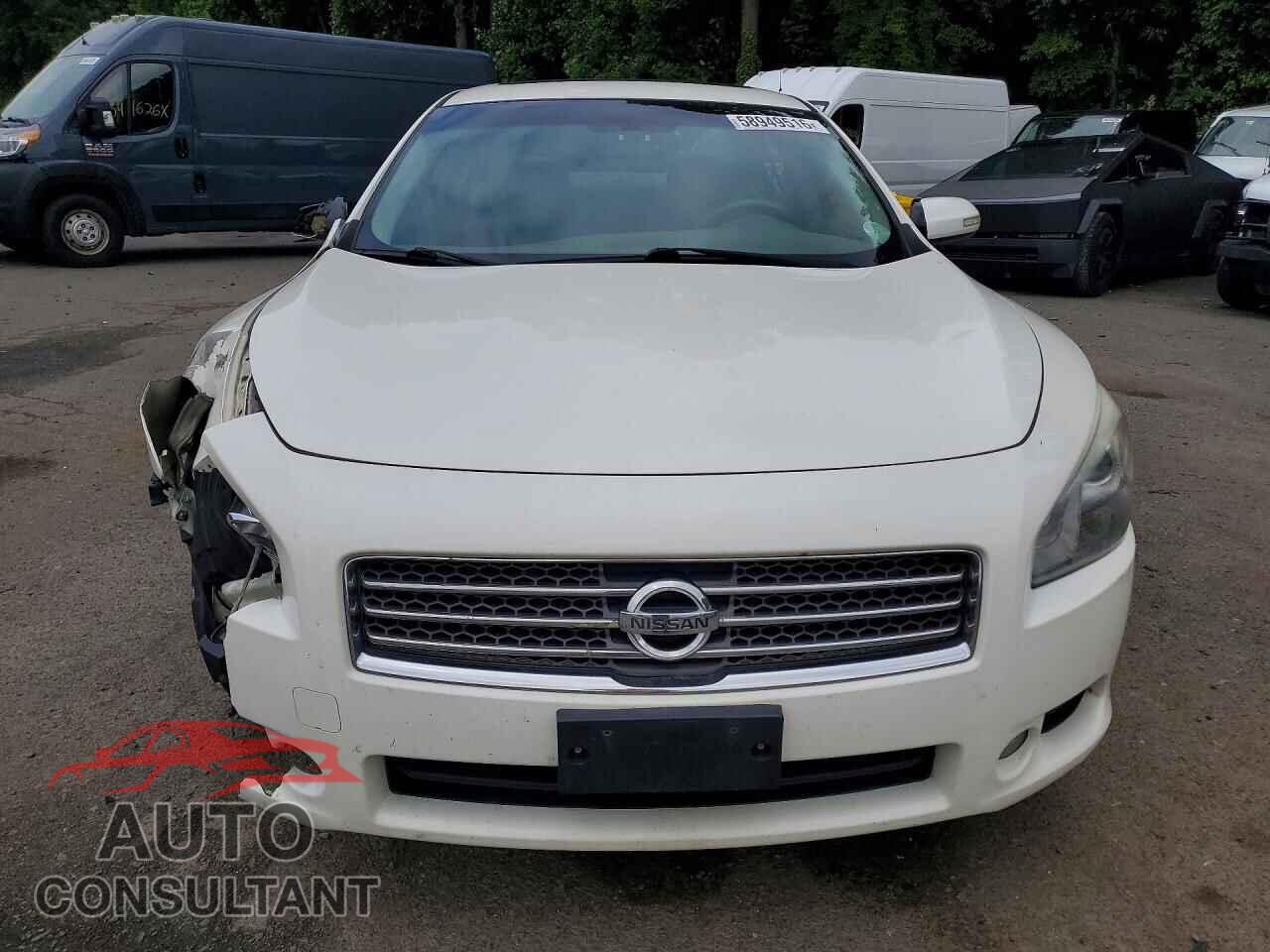 NISSAN MAXIMA 2009 - 1N4AA51E49C829549
