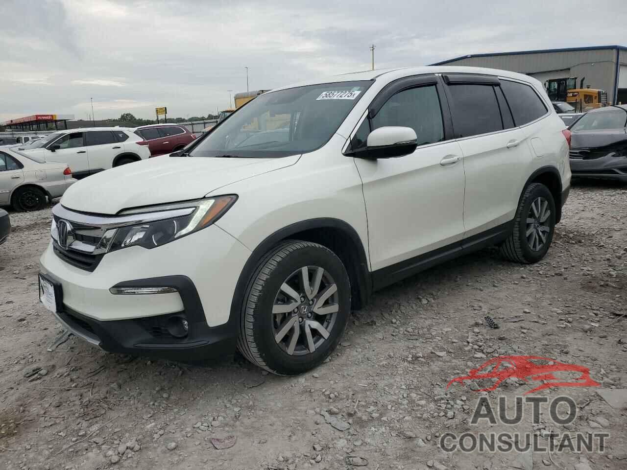 HONDA PILOT 2019 - 5FNYF6H55KB034492