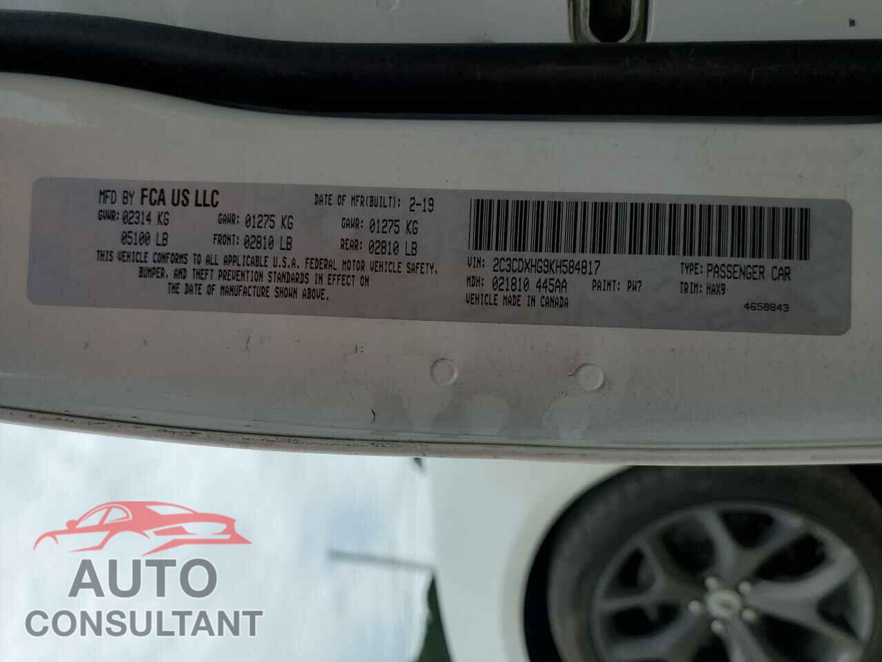 DODGE CHARGER 2019 - 2C3CDXHG9KH584817