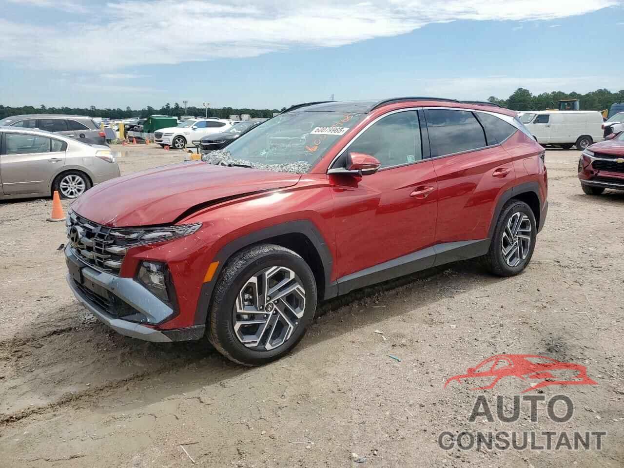 HYUNDAI TUCSON 2025 - KM8JEDD11SU263492