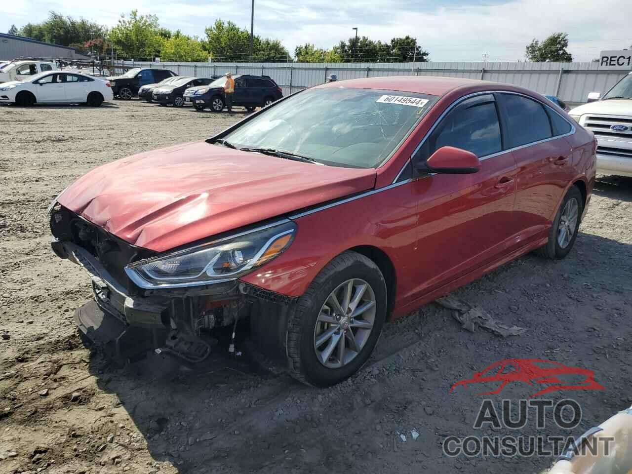 HYUNDAI SONATA 2018 - 5NPE24AF5JH623094