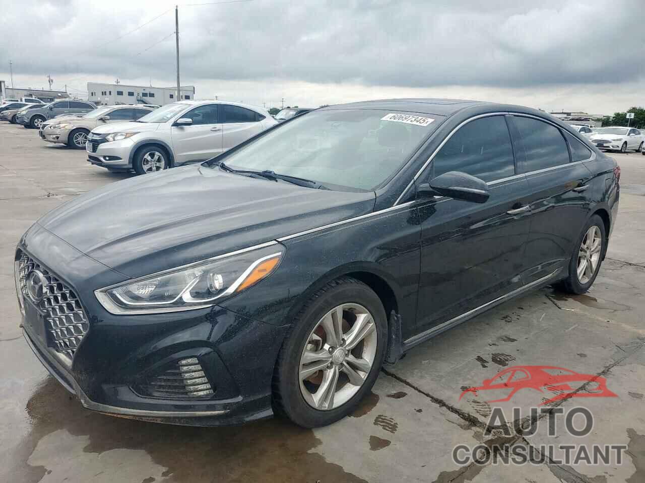HYUNDAI SONATA 2019 - 5NPE34AF0KH773466