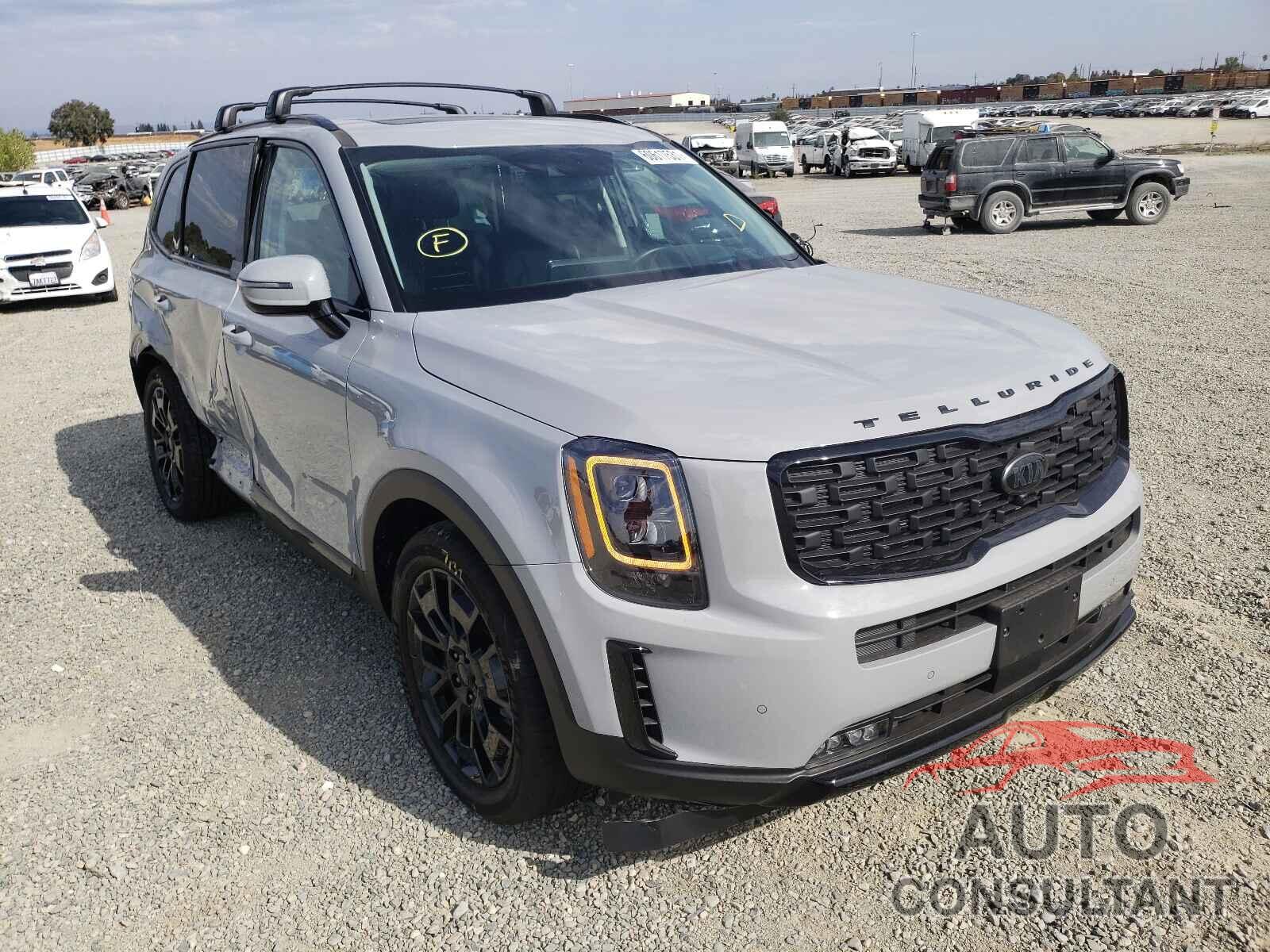 KIA TELLURIDE 2021 - 5XYP5DHC3MG164462