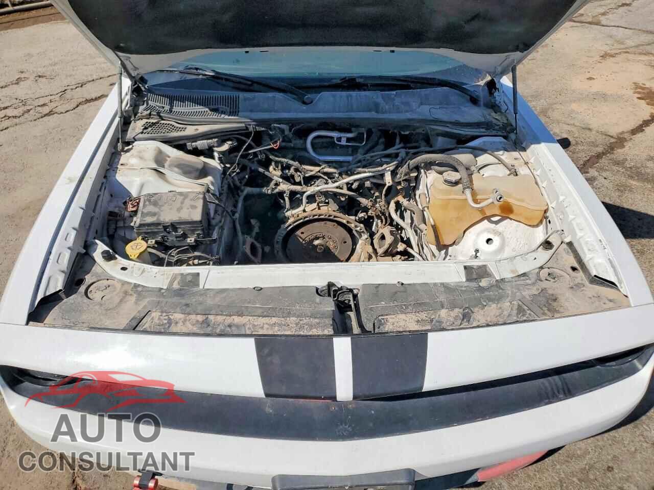 DODGE CHALLENGER 2019 - 2C3CDZAG8KH593854