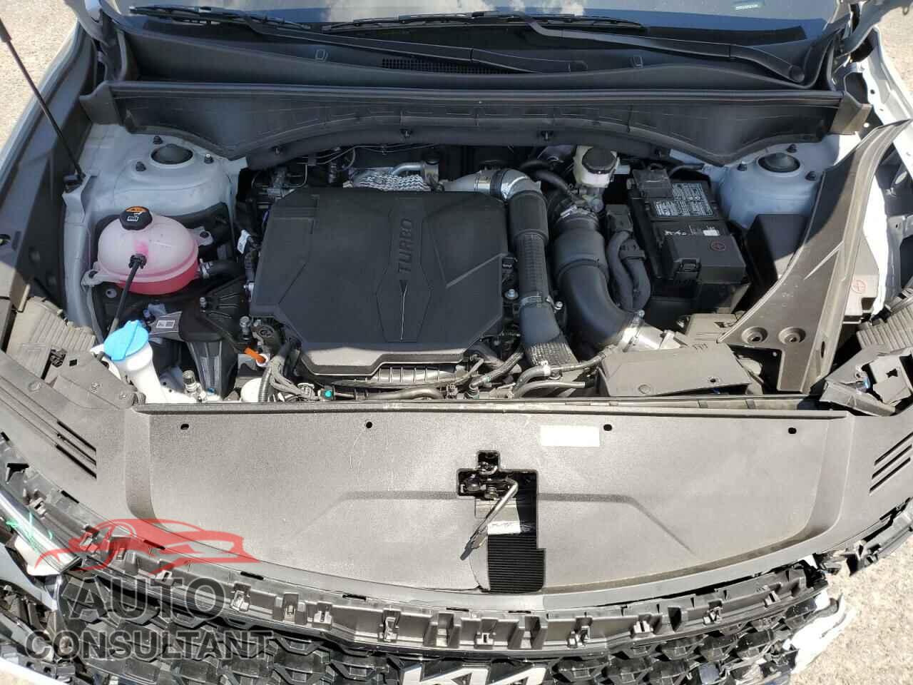 KIA SORENTO 2023 - 5XYRKDLF4PG224949