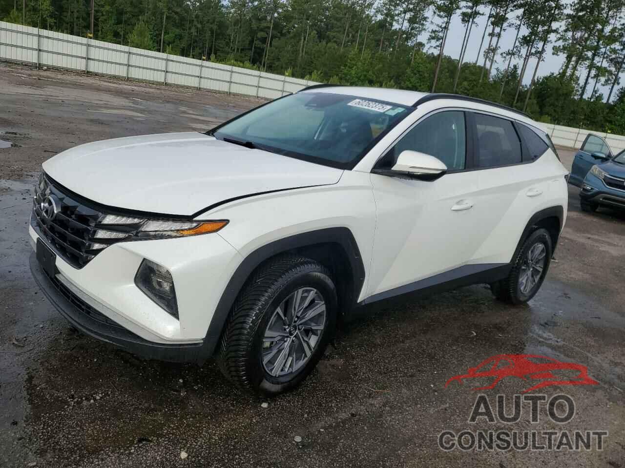 HYUNDAI TUCSON 2022 - KM8JBCA19NU031329
