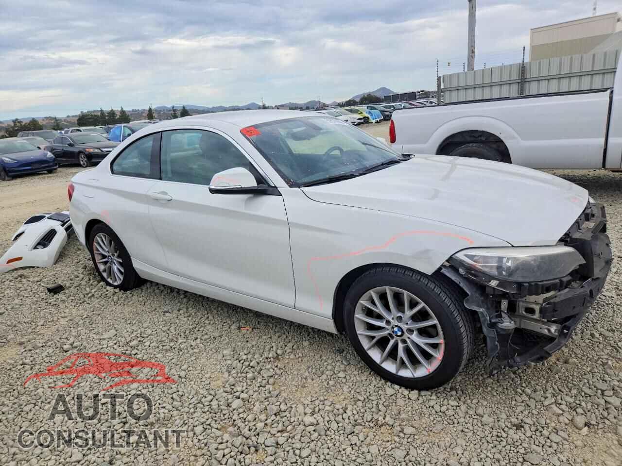 BMW 2 SERIES 2014 - WBA1F5C54EV255443