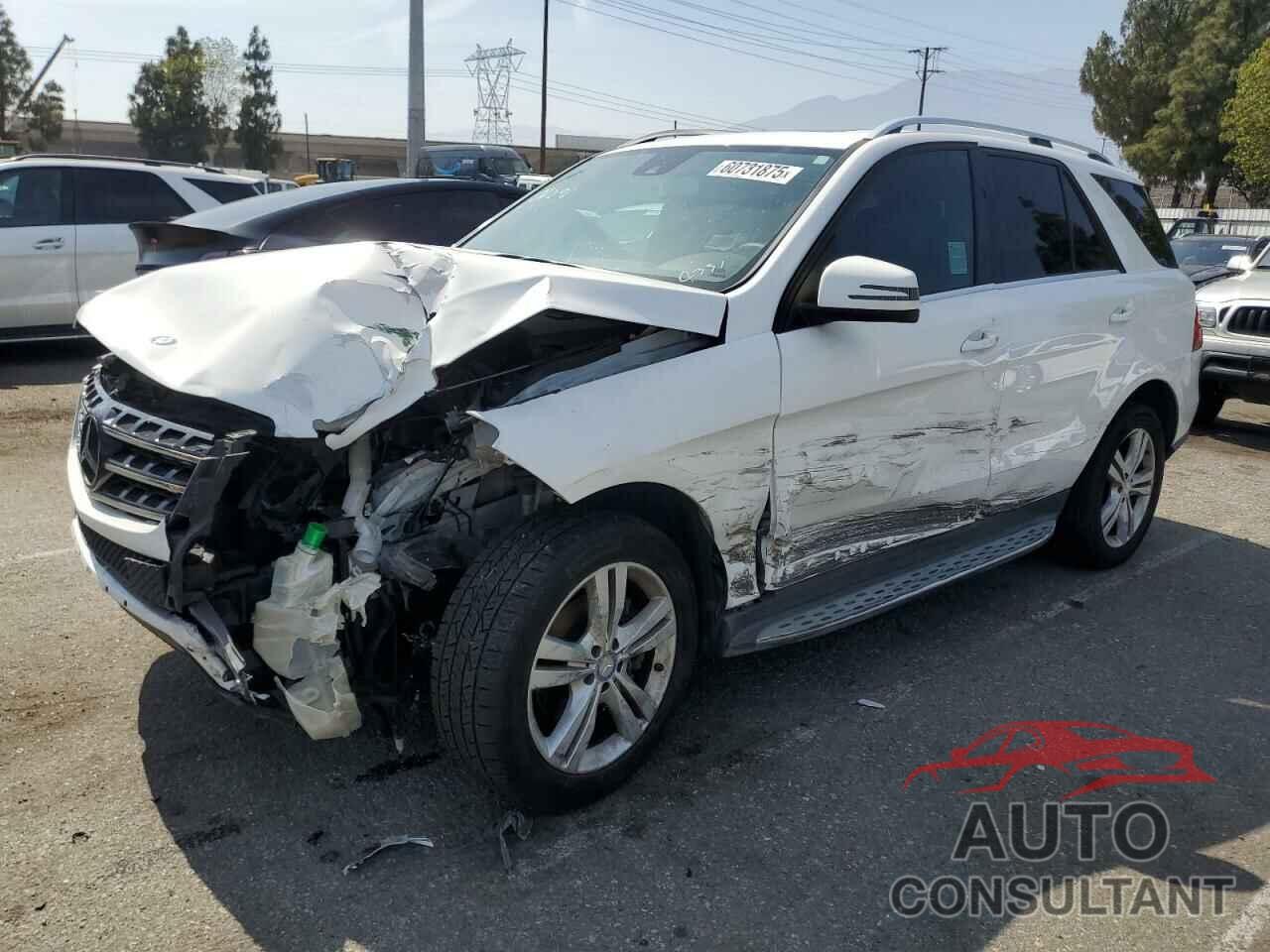 MERCEDES-BENZ M-CLASS 2014 - 4JGDA5JB7EA299608