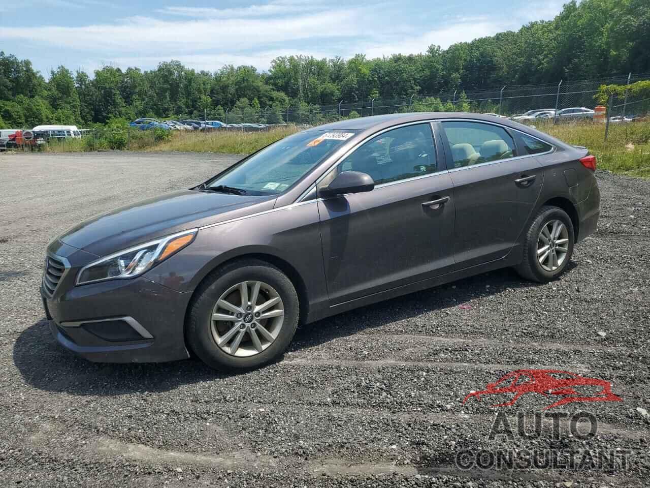 HYUNDAI SONATA 2016 - 5NPE24AF7GH434441