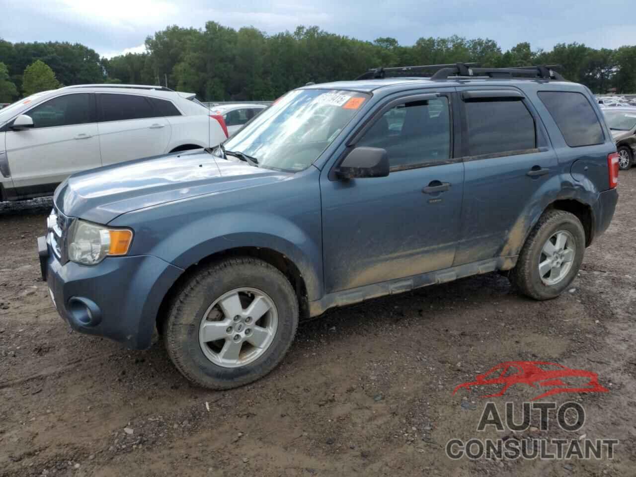 FORD ESCAPE 2011 - 1FMCU0D7XBKB09867