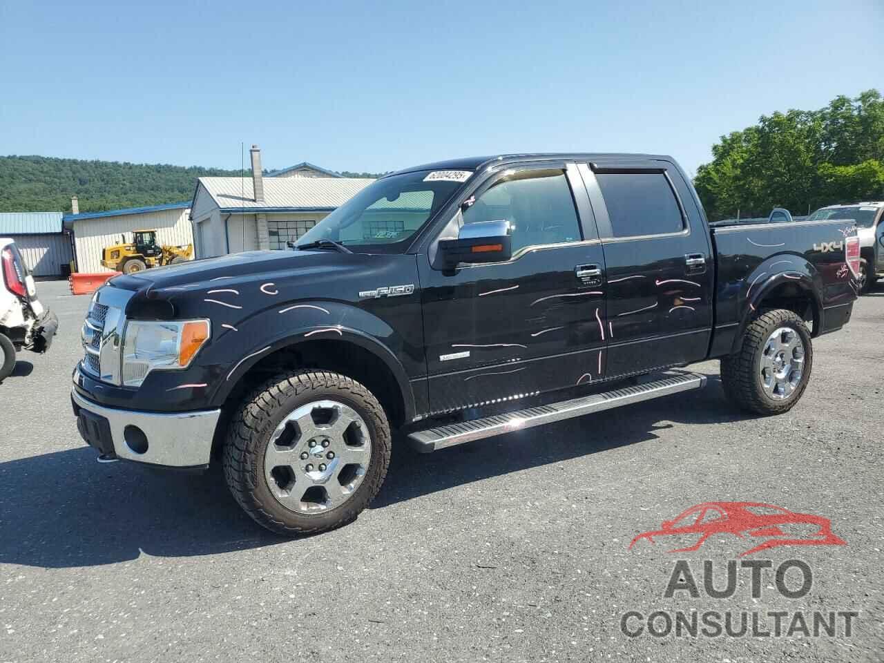 FORD F-150 2011 - 1FTFW1ET0BFD19268