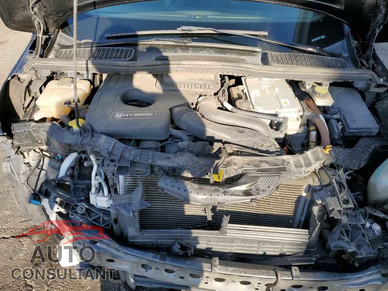 FORD CMAX 2016 - 1FADP5BU1GL106370