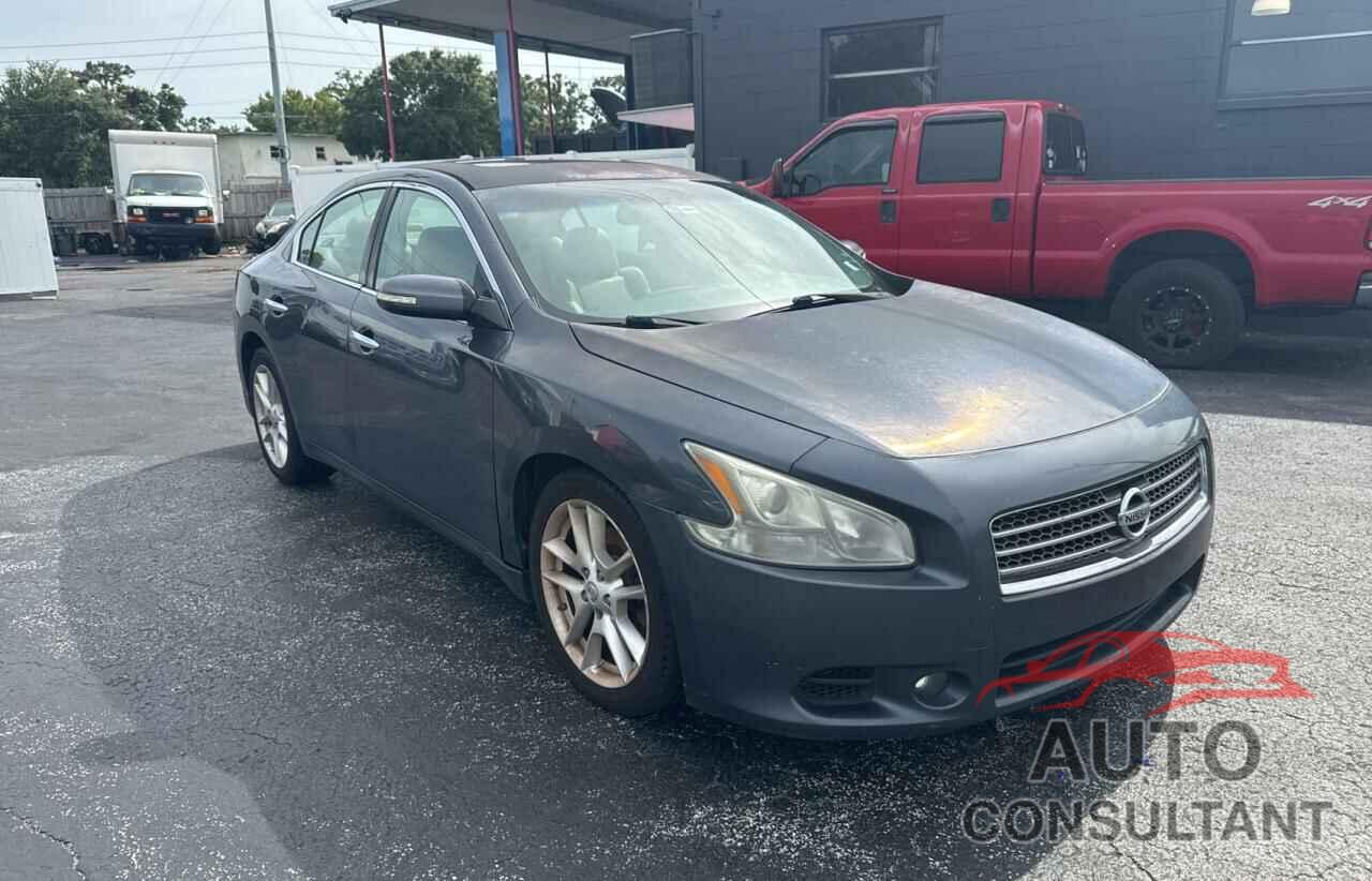 NISSAN MAXIMA 2009 - 1N4AA51E59C810847