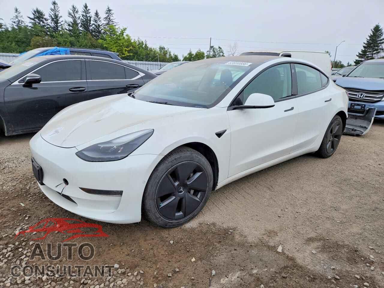 TESLA MODEL 3 2021 - 5YJ3E1EA6MF090722