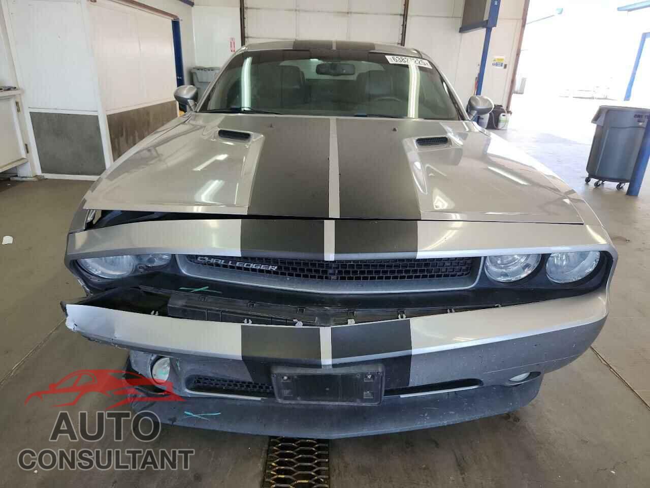 DODGE CHALLENGER 2014 - 2C3CDYAG0EH294017