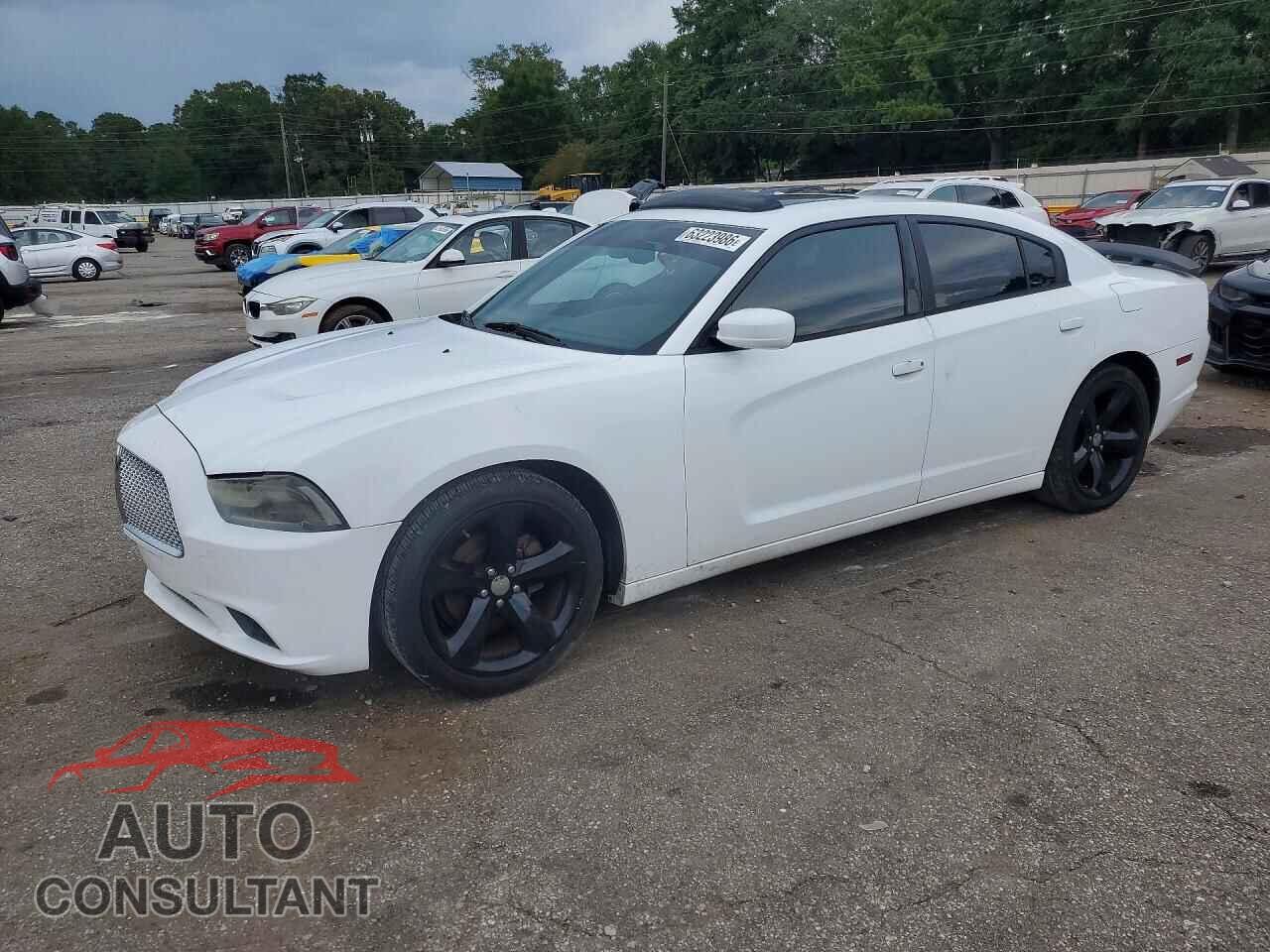 DODGE CHARGER 2012 - 2C3CDXHG2CH301028