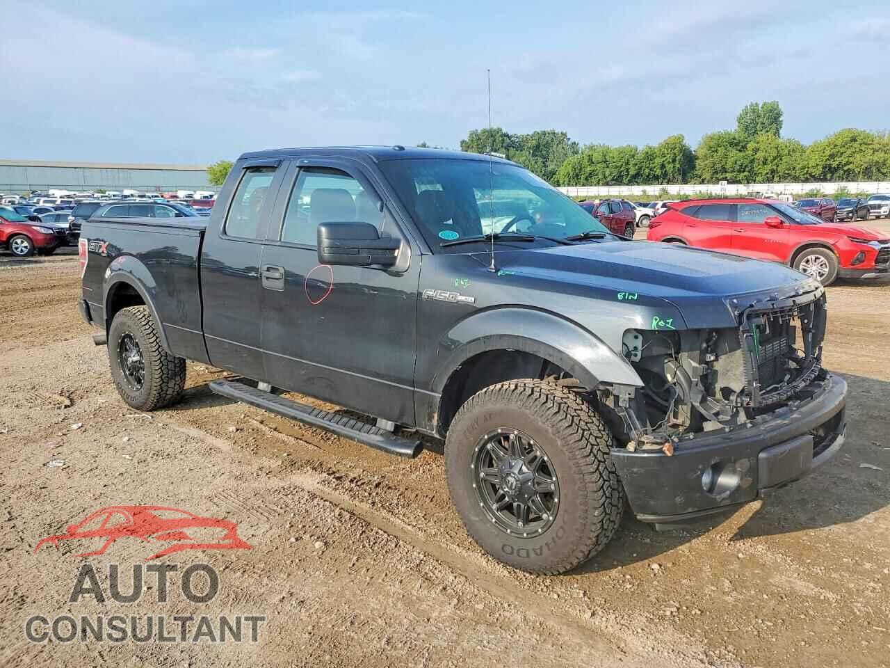 FORD F150 2014 - 1FTFX1EF2EFA43316