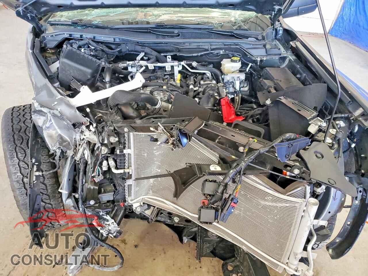 FORD RANGER 2025 - 1FTER4PH9SLE14569