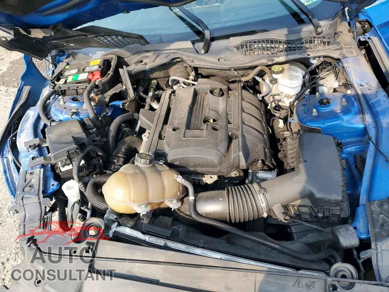 FORD MUSTANG 2019 - 1FA6P8THXK5117828