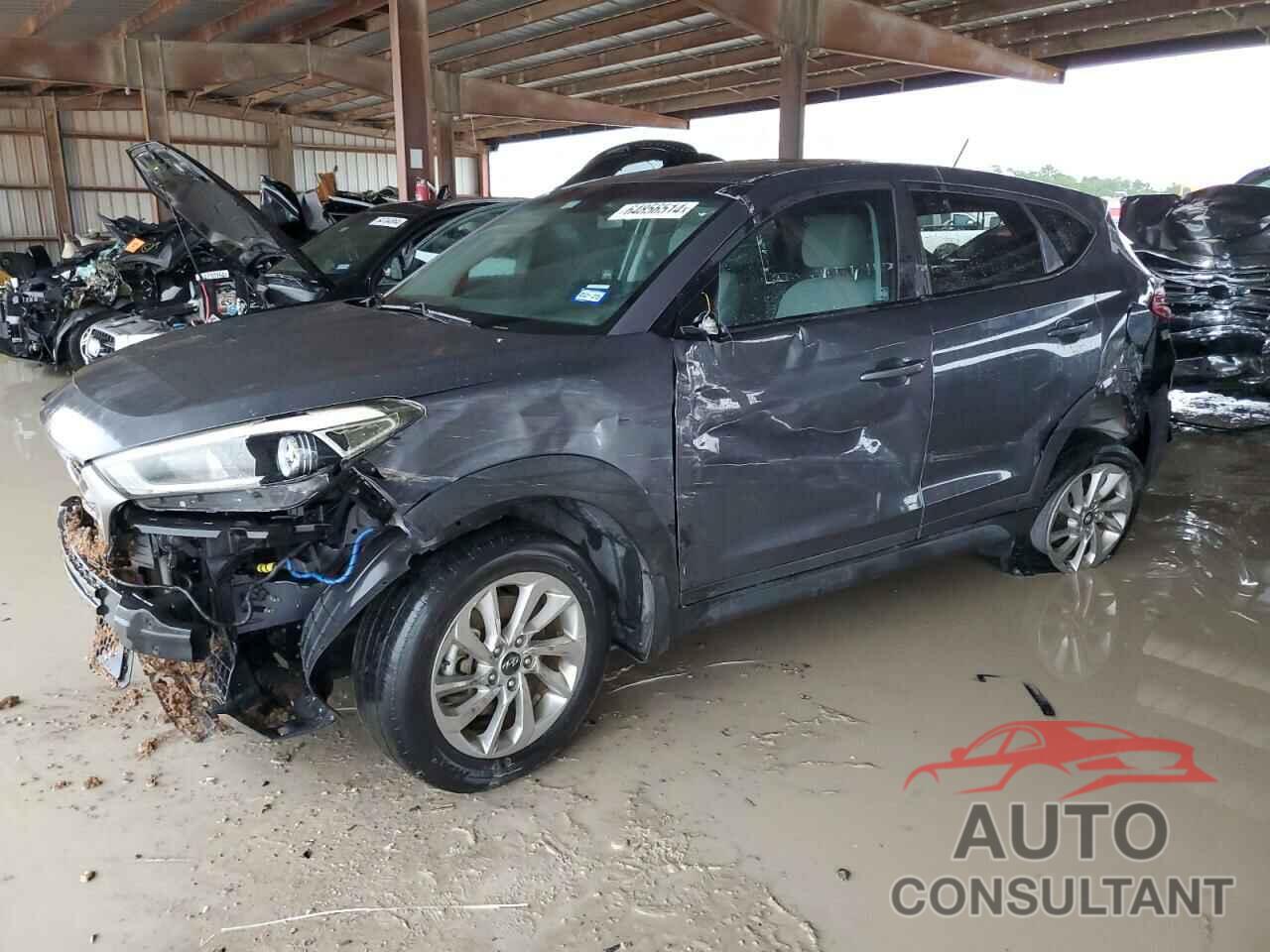 HYUNDAI TUCSON 2017 - KM8J23A46HU452861