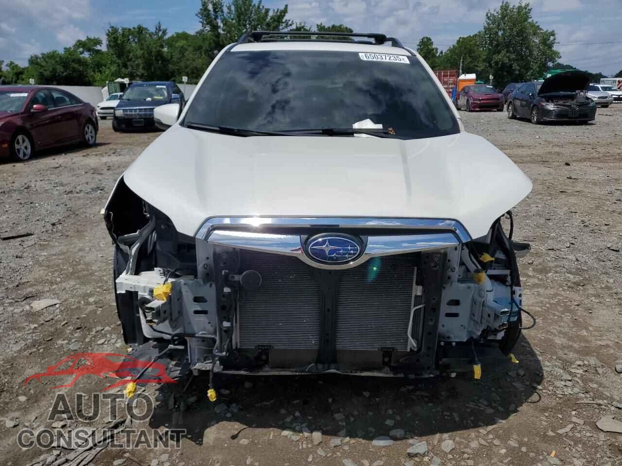 SUBARU FORESTER 2019 - JF2SKAUC9KH499366