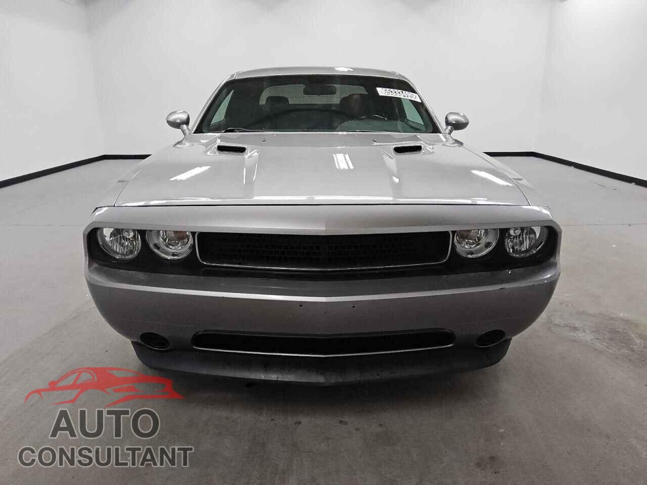 DODGE CHALLENGER 2014 - 2C3CDYAG5EH313466