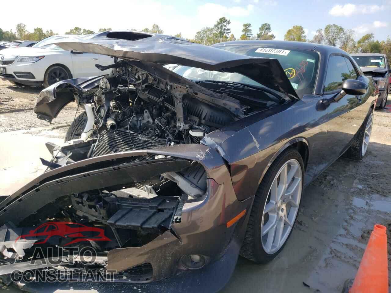 DODGE CHALLENGER 2019 - 2C3CDZJG3KH690296