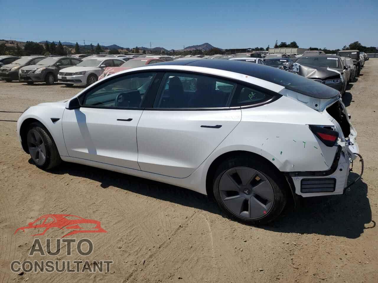 TESLA MODEL 3 2023 - 5YJ3E1EA1PF496850