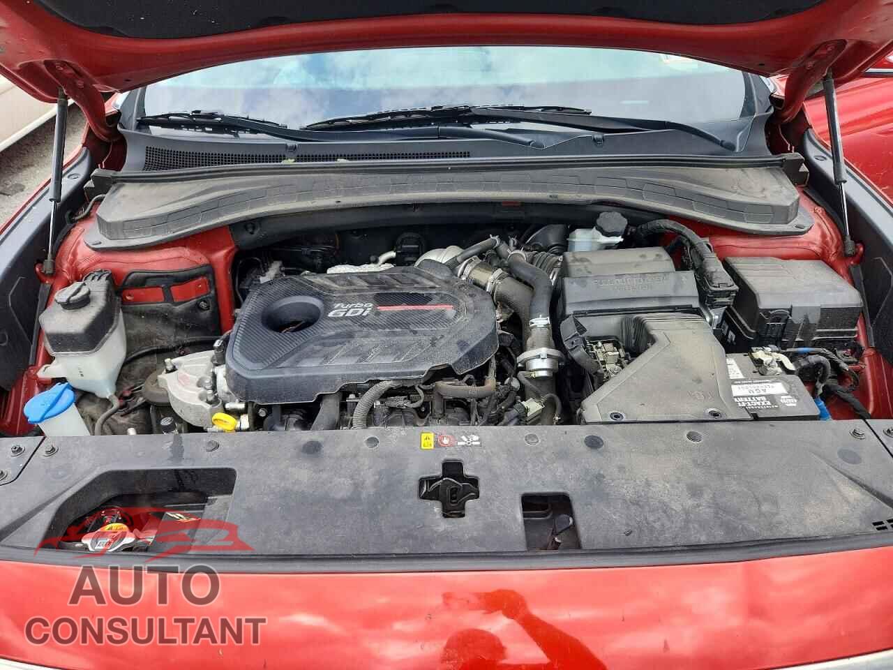 HYUNDAI SANTA FE 2019 - 5NMS5CAA4KH123760