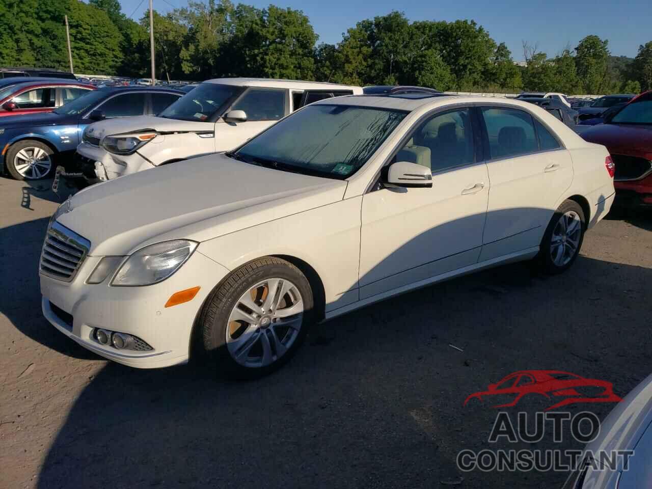 MERCEDES-BENZ E-CLASS 2010 - WDDHF8HB9AA062360