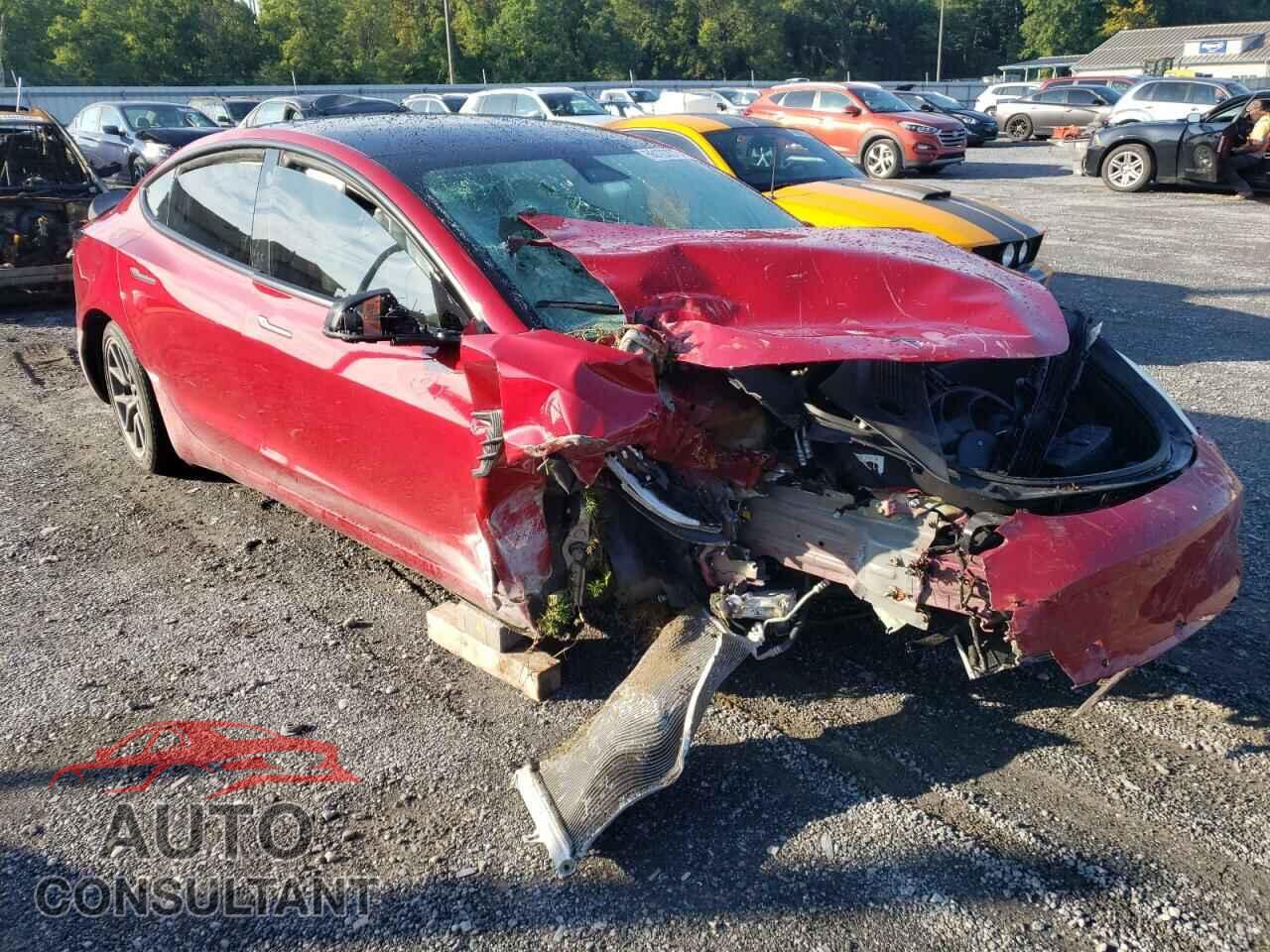 TESLA MODEL 3 2019 - 5YJ3E1EAXKF486410