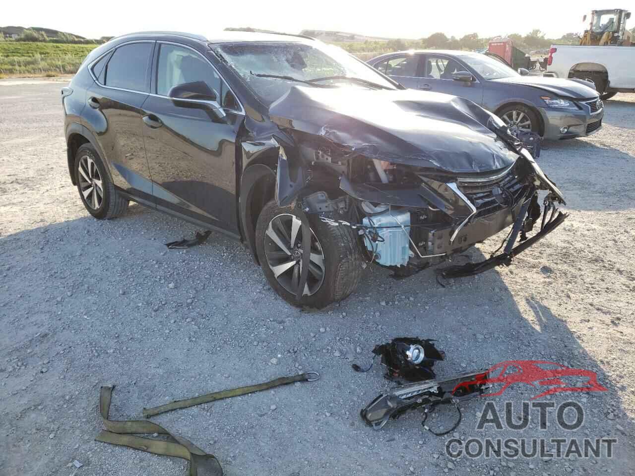 LEXUS NX 2019 - JTJYARBZ0K2130591