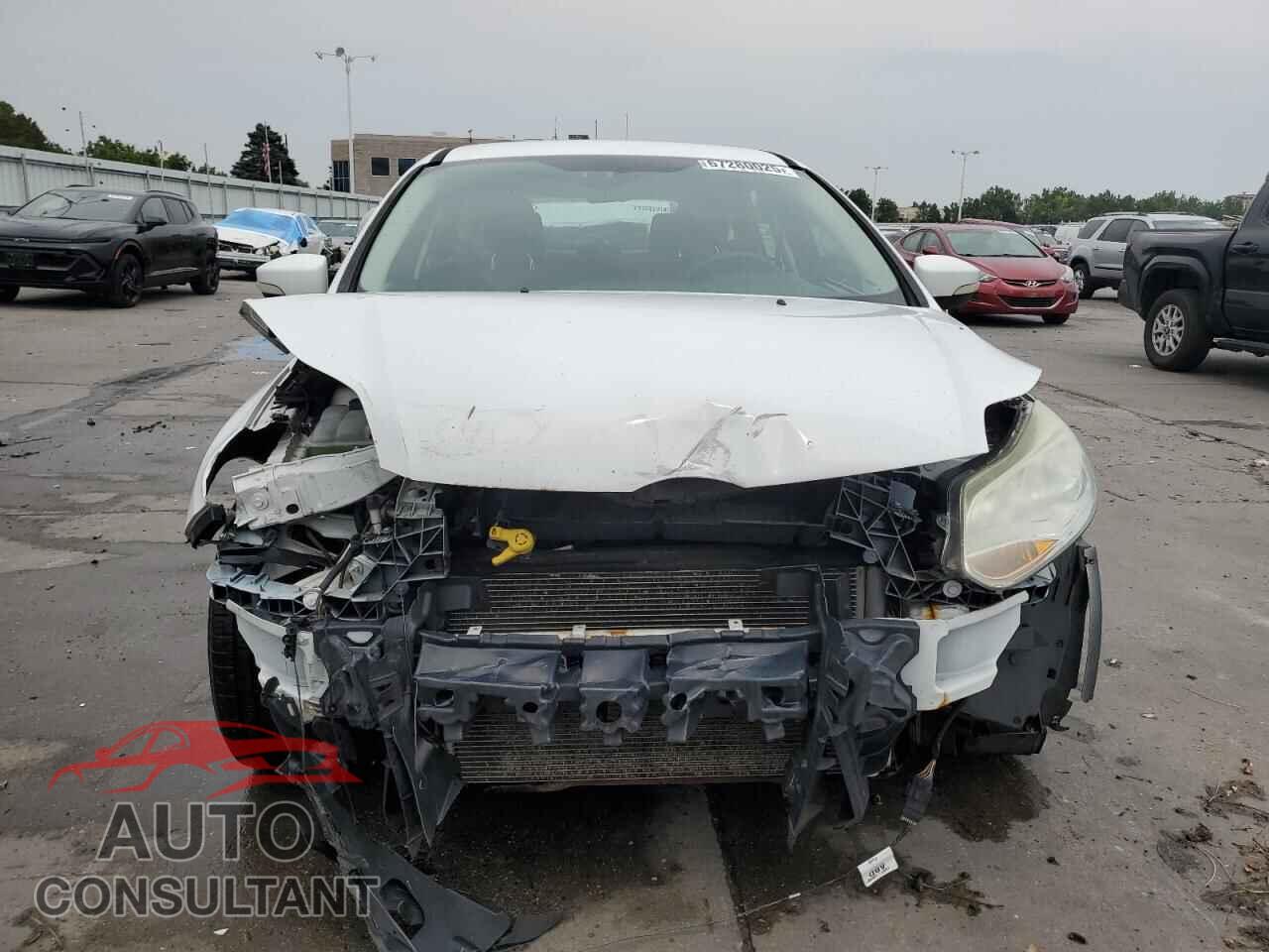 FORD FOCUS 2012 - 1FAHP3M23CL122551