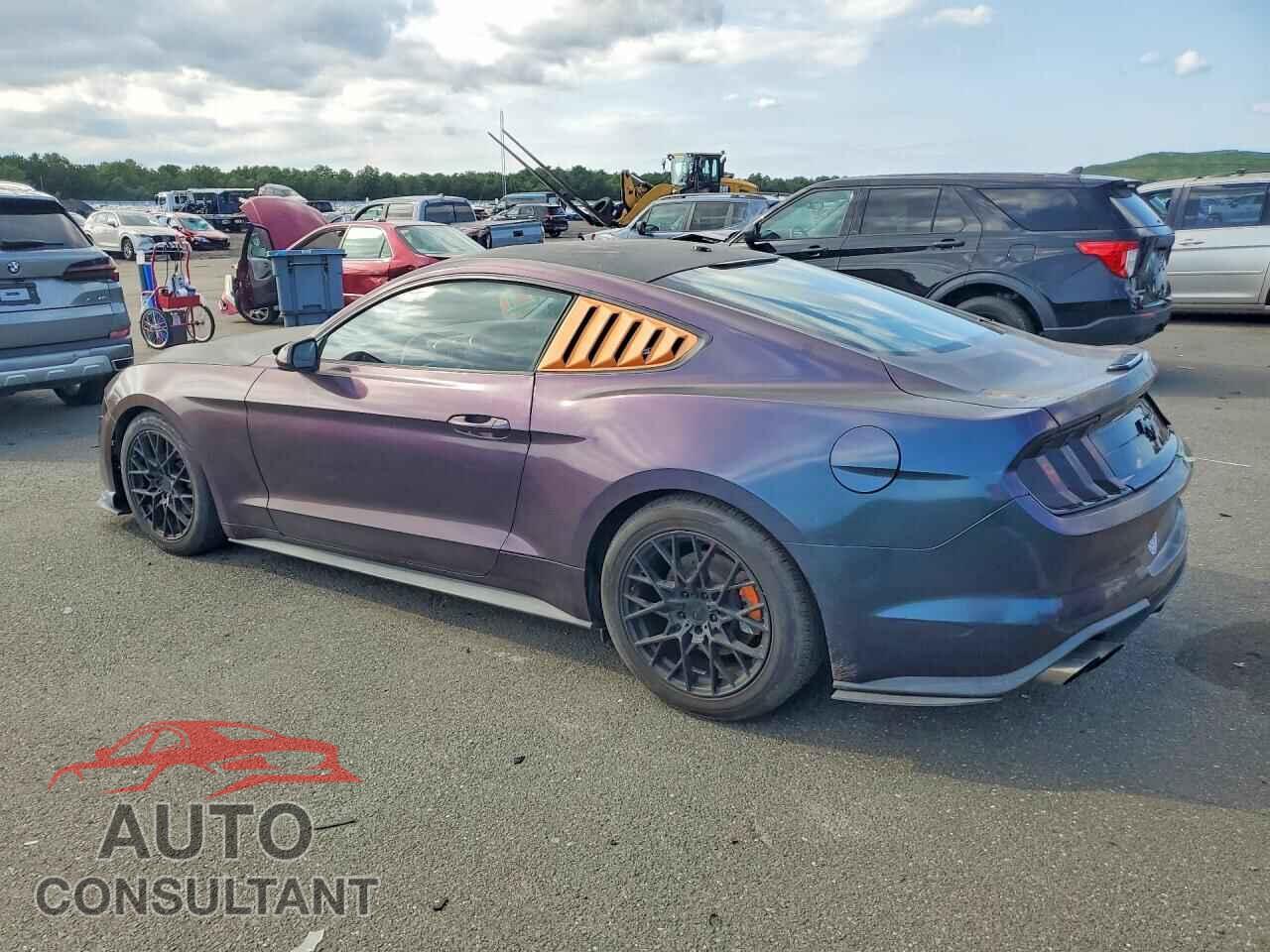 FORD MUSTANG 2019 - 1FA6P8TH2K5156820