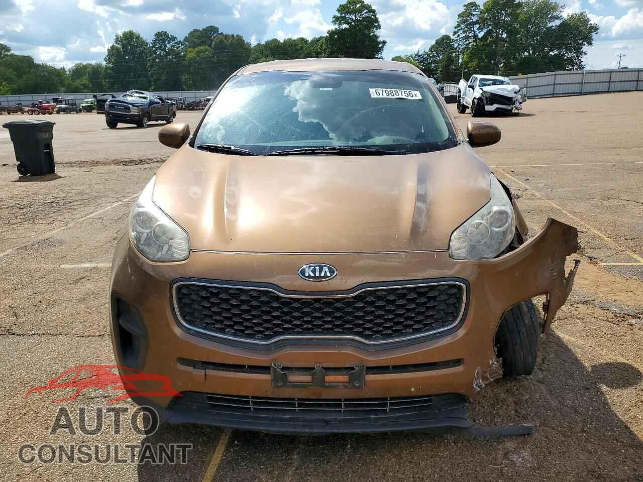 KIA SPORTAGE 2017 - KNDPM3AC6H7087886