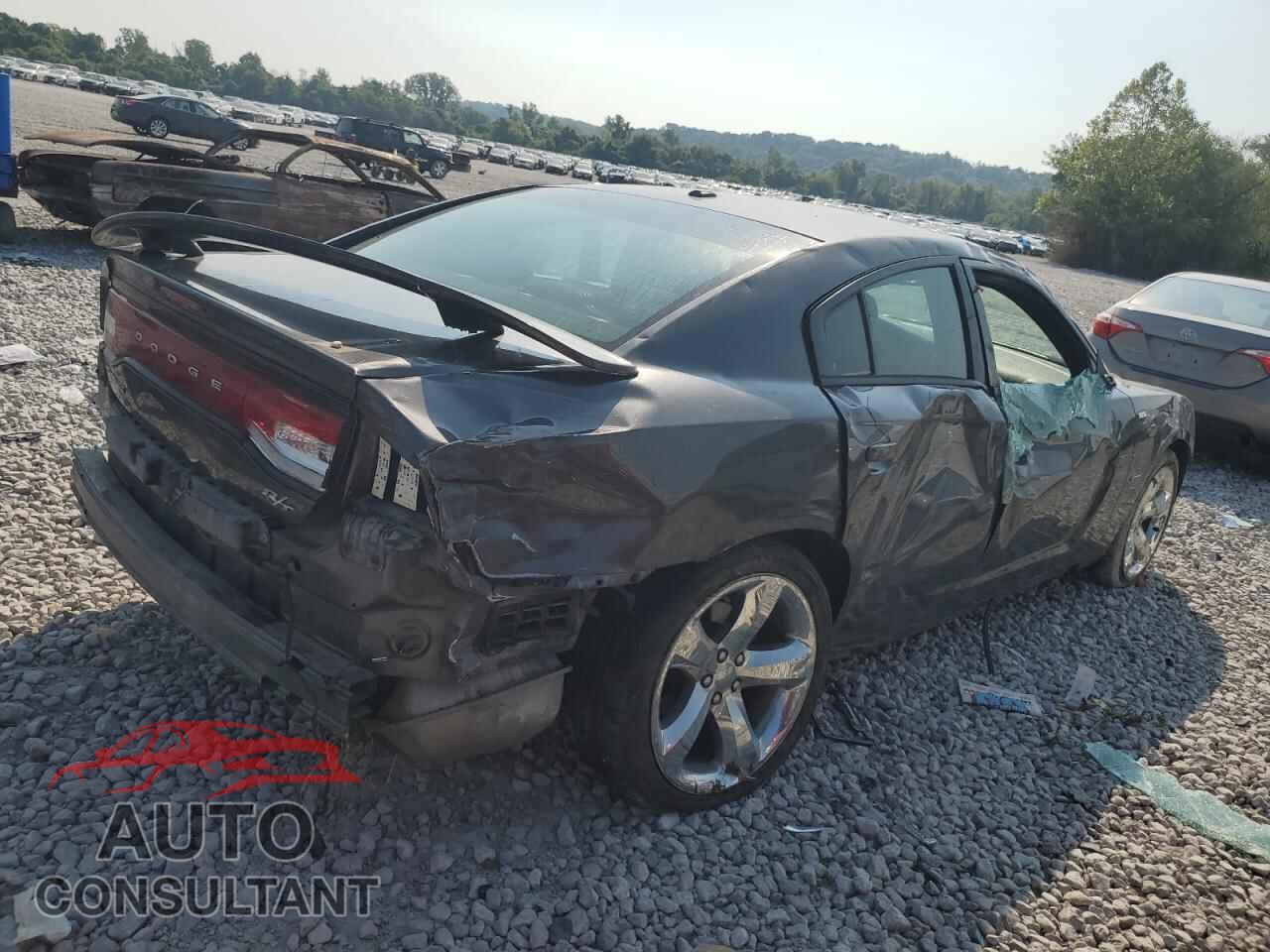 DODGE CHARGER 2014 - 2C3CDXCT9EH137655