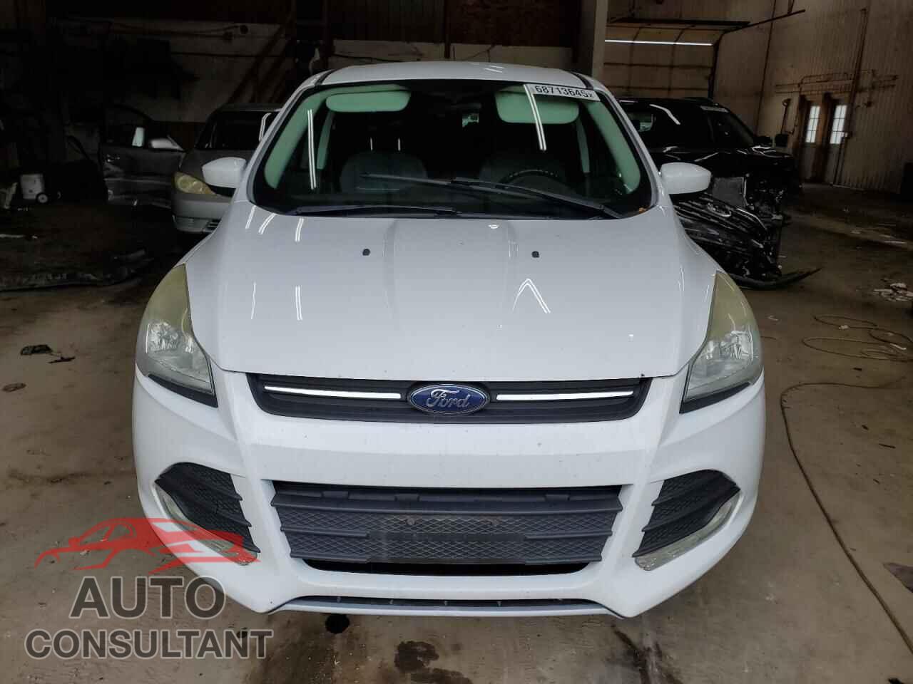 FORD ESCAPE 2014 - 1FMCU0GX8EUC31955