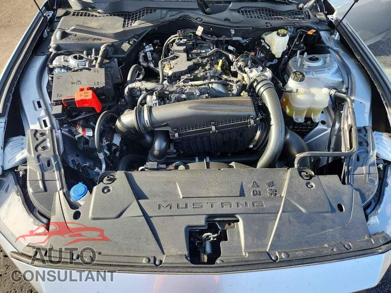 FORD MUSTANG 2026 - 1FA6P8TH8T5113634