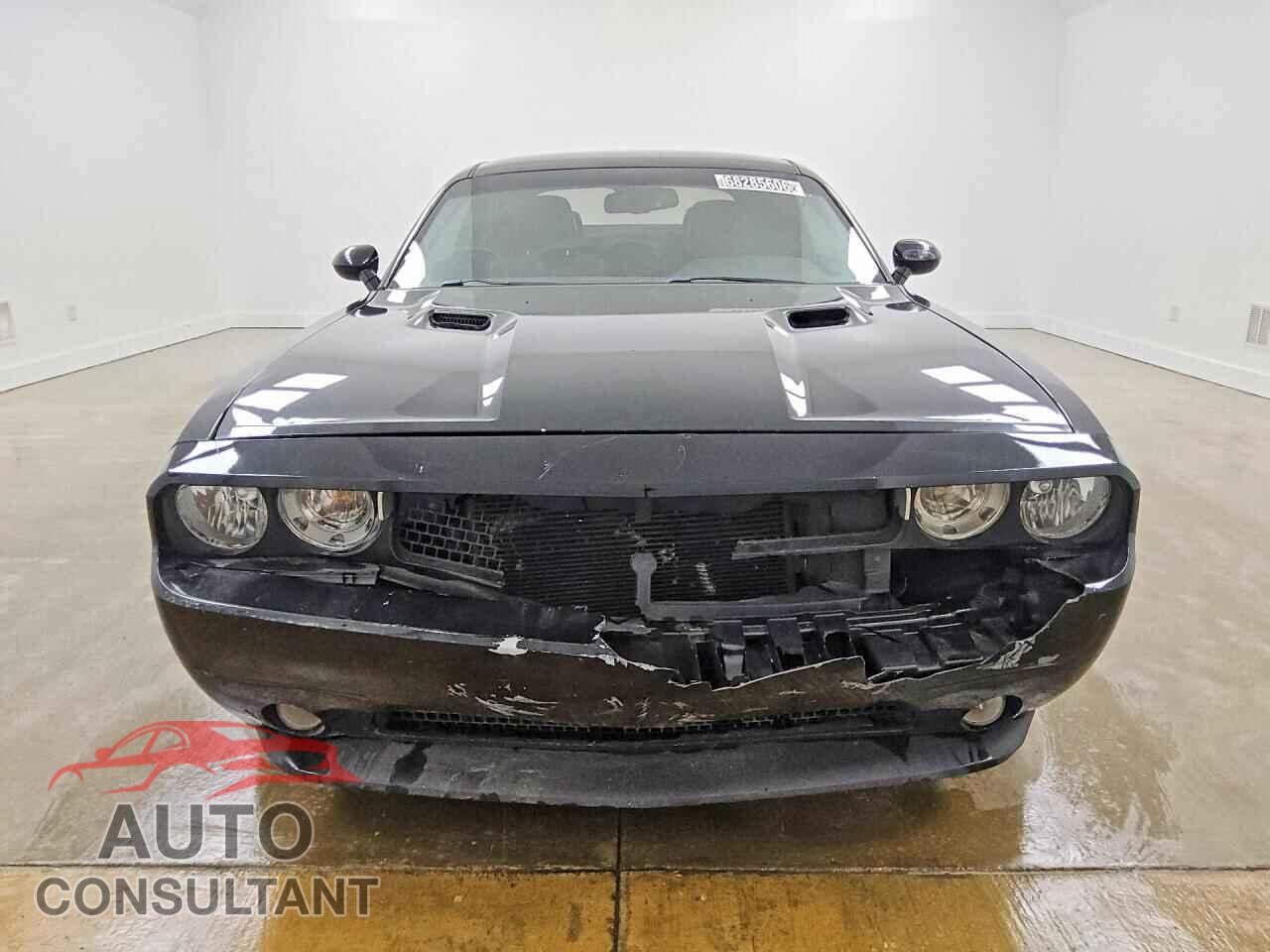 DODGE CHALLENGER 2012 - 2C3CDYAG8CH141642