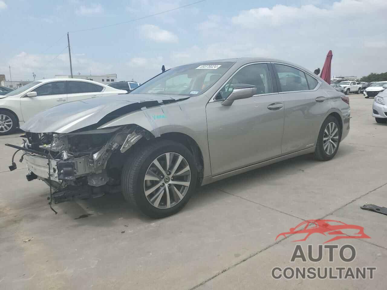 LEXUS ES300 2019 - 58AB21B16KU003192