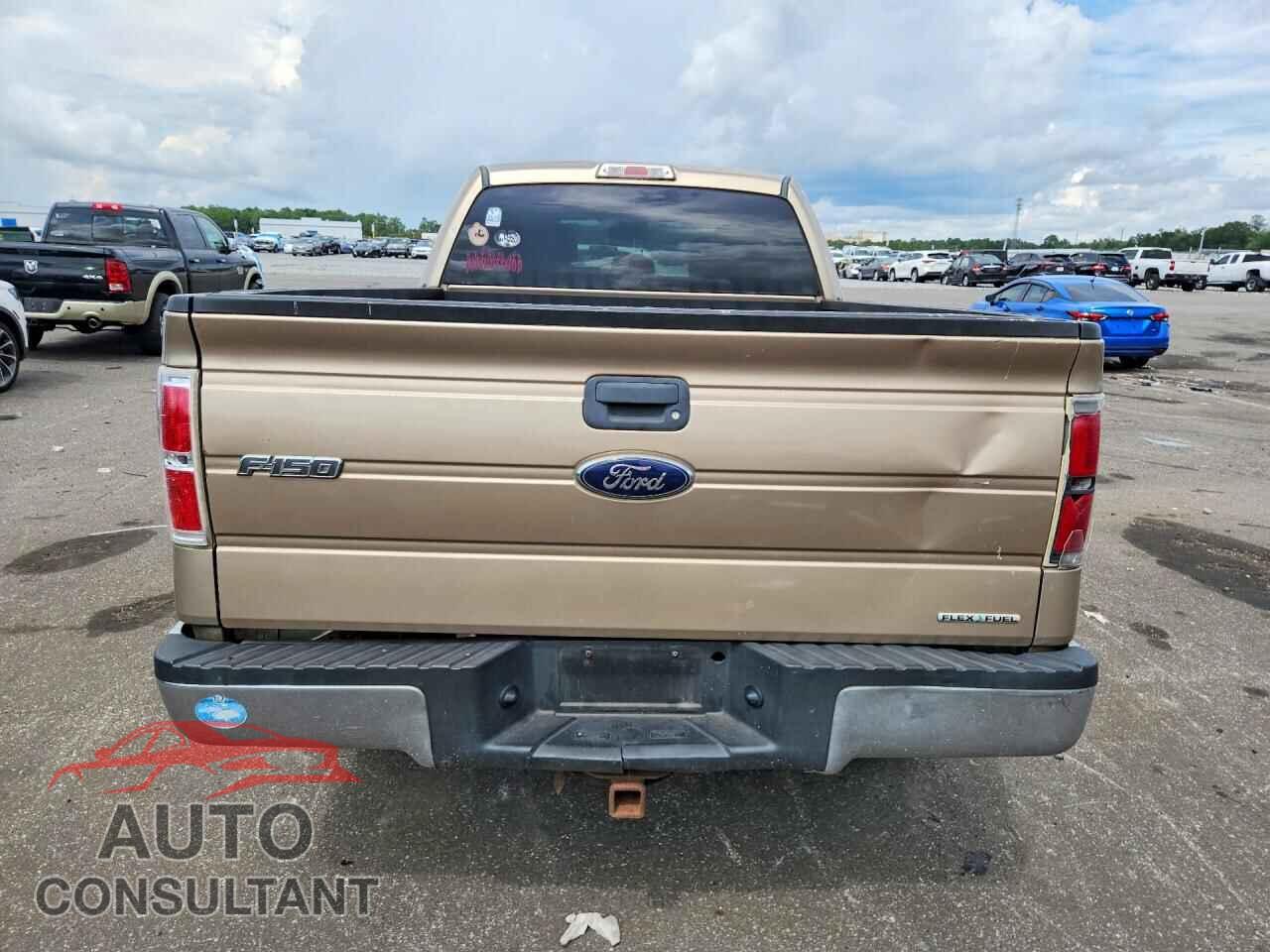 FORD F150 2013 - 1FTFX1EF7DFA51118