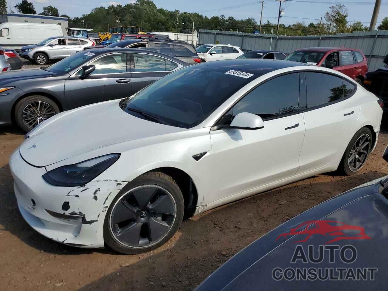 TESLA MODEL 3 2021 - 5YJ3E1EBXMF979130