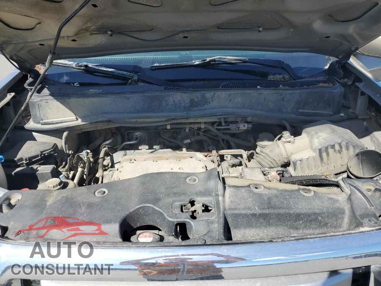 HONDA PILOT 2011 - 5FNYF4H55BB033511