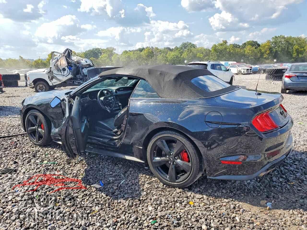 FORD MUSTANG 2021 - 1FATP8FF8M5156241