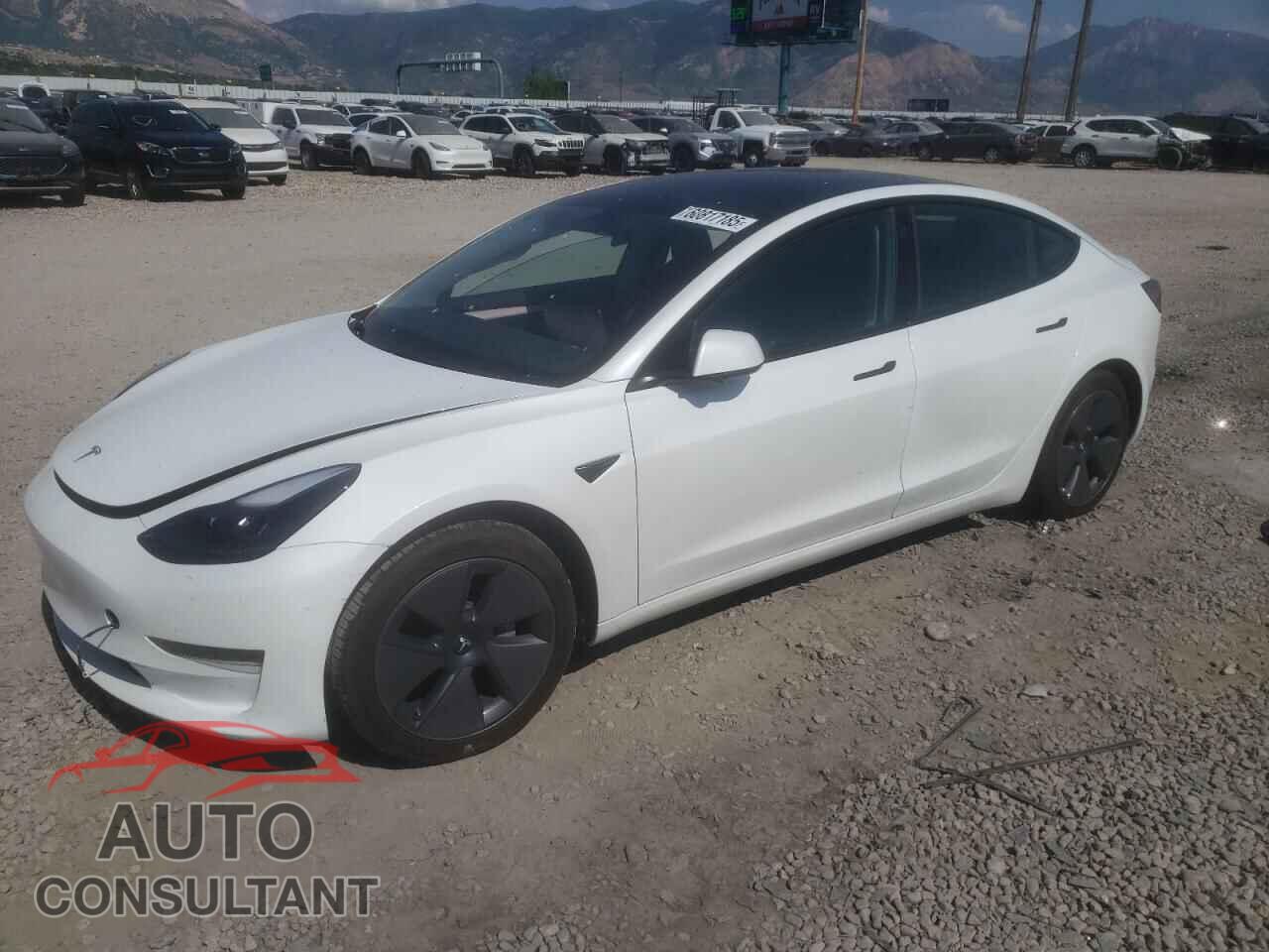 TESLA MODEL 3 2023 - 5YJ3E1EA2PF487834