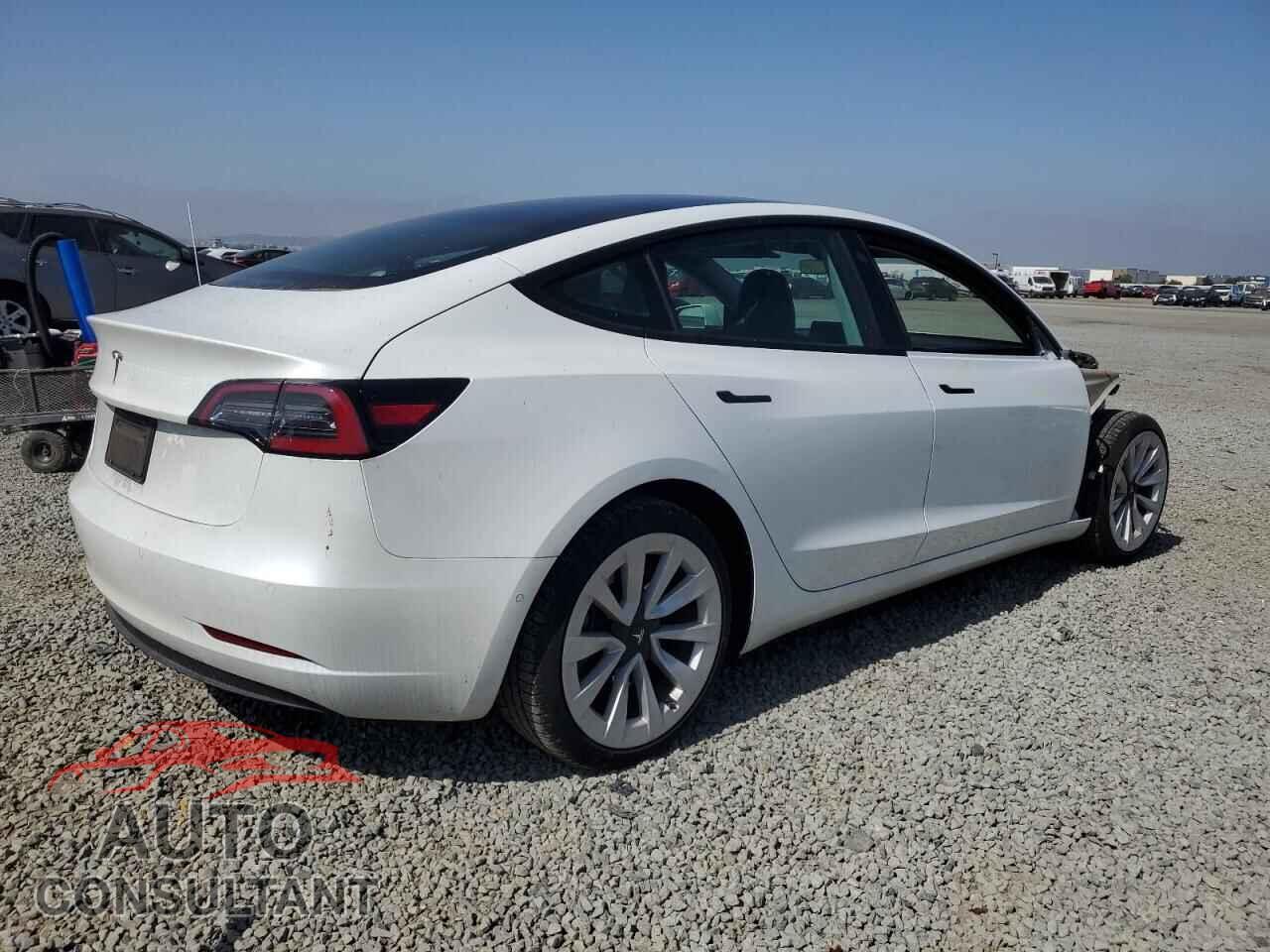 TESLA MODEL 3 2021 - 5YJ3E1EA5MF069019